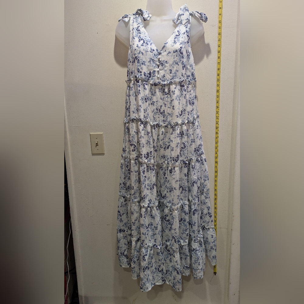 Moon River Blue and White Floral Maxi Dress